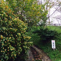 伊賀 (16).jpg
