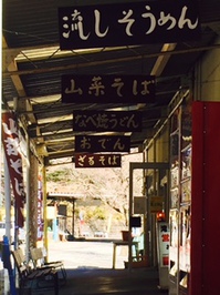 養老9.jpg