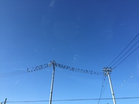 IMG_0677.JPG