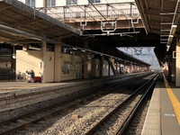 IMG_3928.jpg