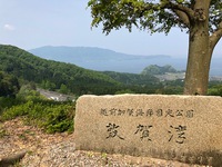 IMG_8574.jpg