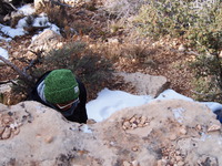 P1031429.JPG
