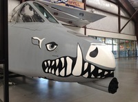 pima7.JPG